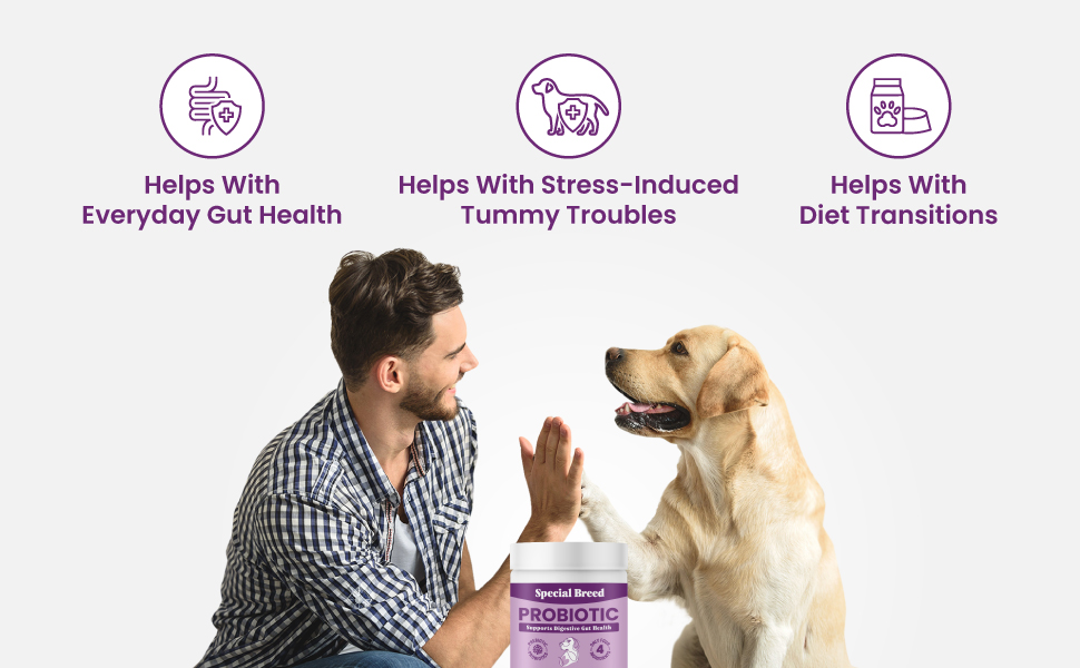 honesty proviable diarrhea deals paste para perros organic rx tummy biotics packets forta bark
