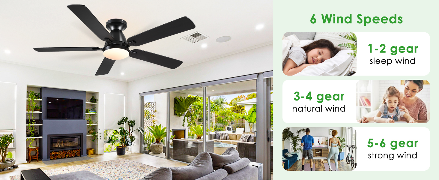 Ceiling Fans