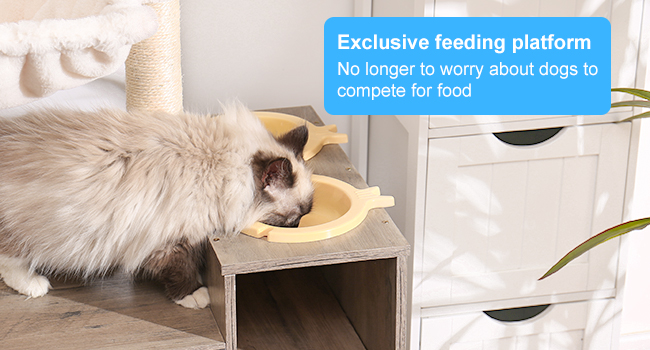 feed bowl