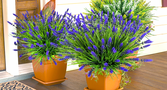 Large manufacture image 4