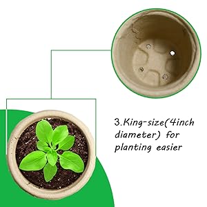 seedling strater pot