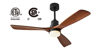 ceiling fan