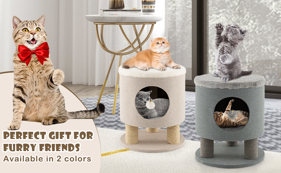 Gift for cats
