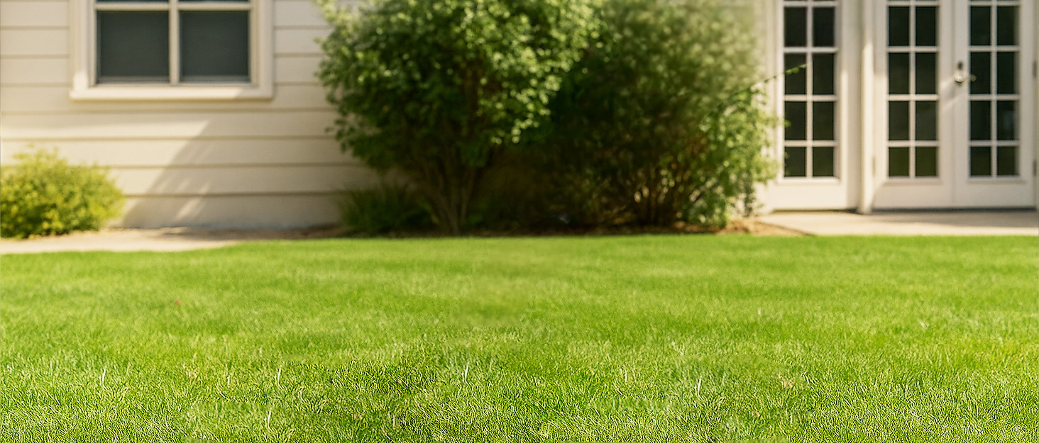 String trimmer