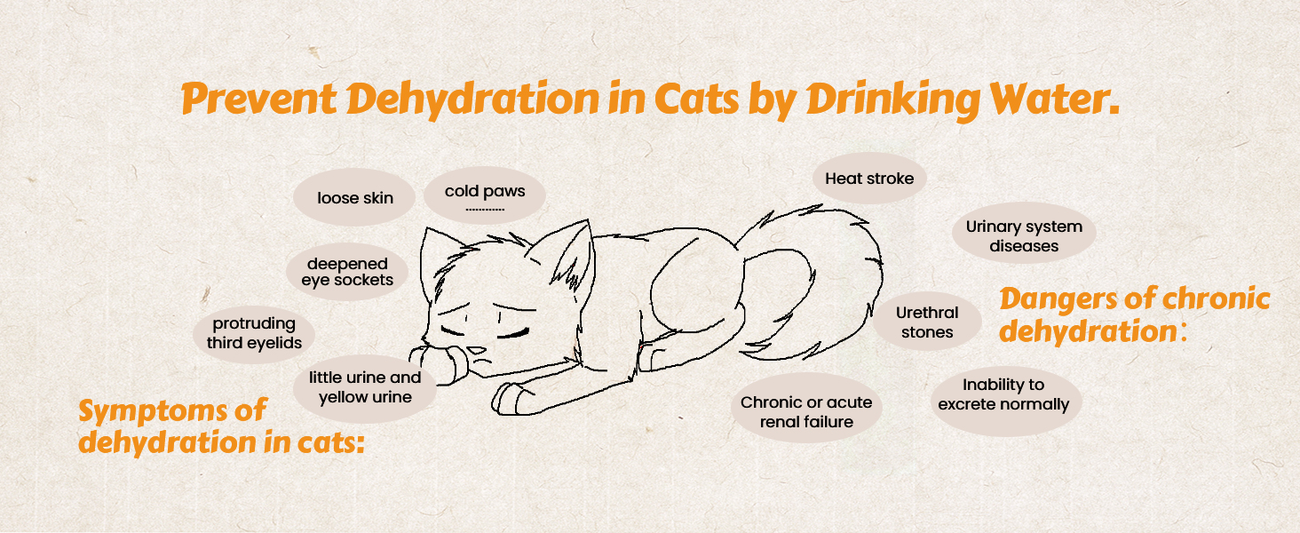 Dispensador automático de agua para gatos, fuentes para beber para gatos, fuente de agua para mascotas para gatos, agua para gatos