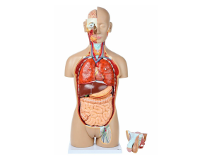 Small manufacture image 6