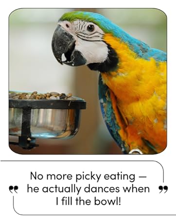 Planter Farm Yard House Fruit Blocks Growth Herb Starting Control Natural Roots Starter Kit Potted