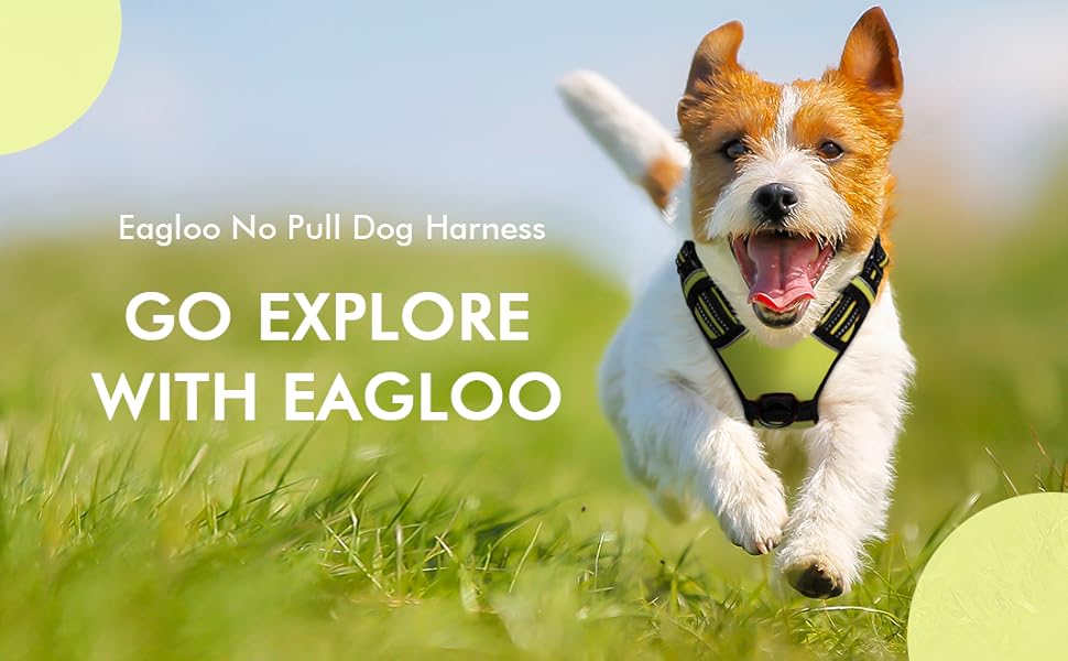 Eagloo Dog Harness No Pull, Walking Pet Harness with 2
