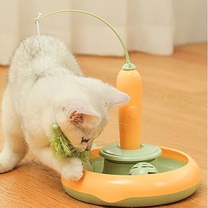 feather cat toy