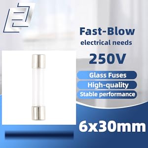 EC Buying 20 Pcs F2AL 250V 2A Fast-Blow Glass Fuses, 6x30mm