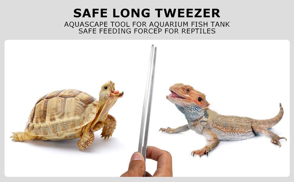 Tortoise Food Water Dish with Ramp Reptile Feeding Dish