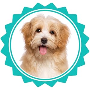 cat dog equine pet wound care dog paw cream dog paw cream