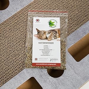 Spielplatte kleiner Beton