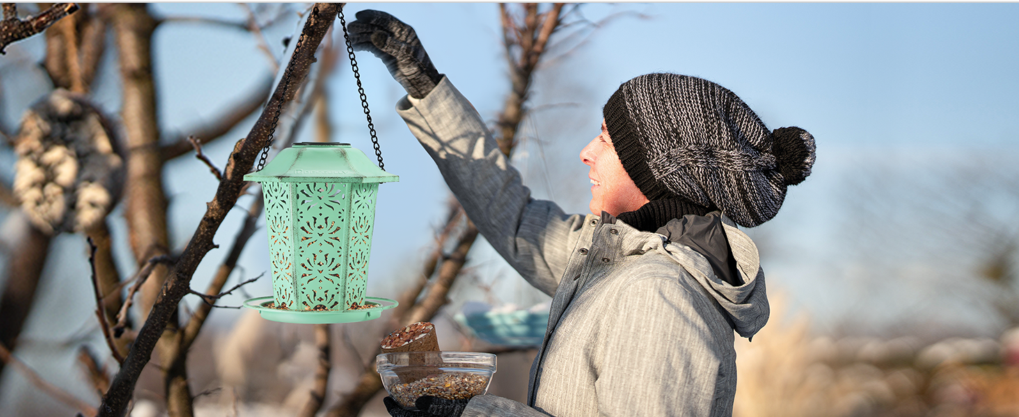 hanging bird feeder