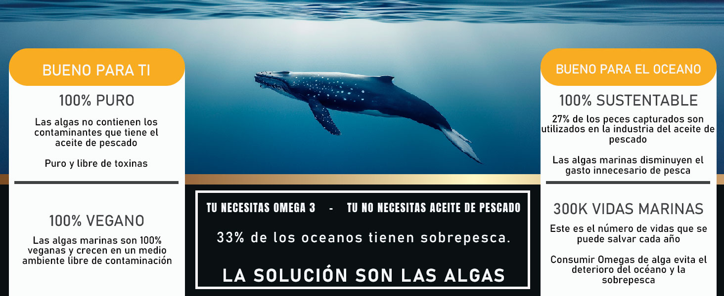 solucion