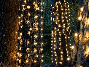 christmas lights outdoor for bushes