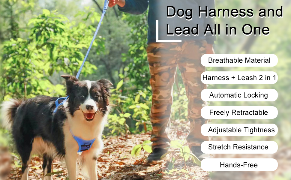 Dog Harness & Retractable Dog Leash All in One