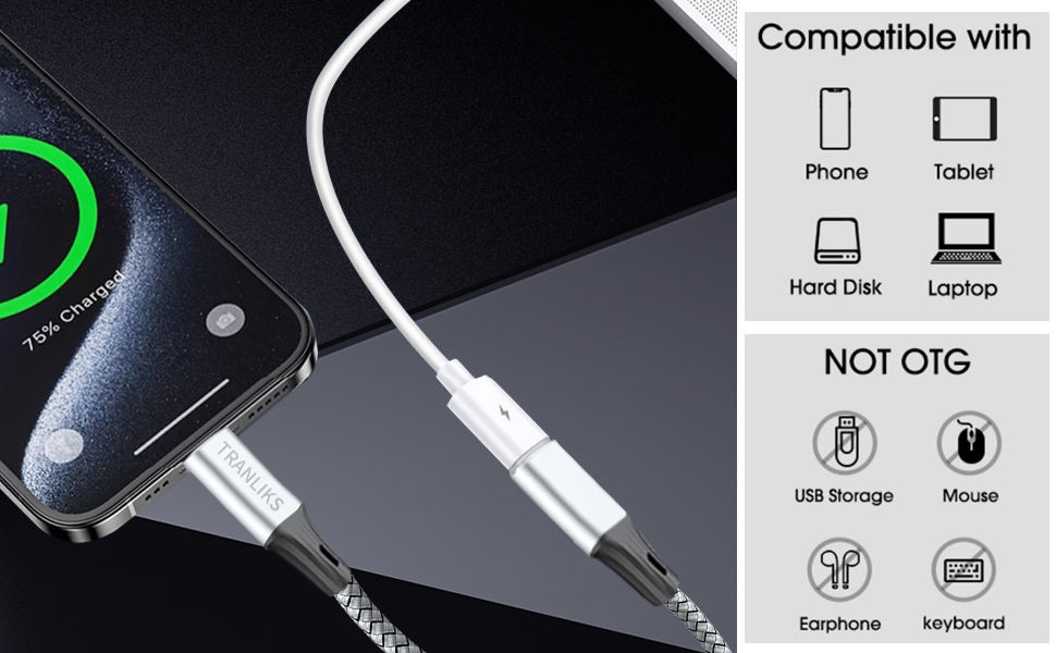 Adapter Lightning USB C