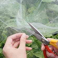 raised garden bed cover