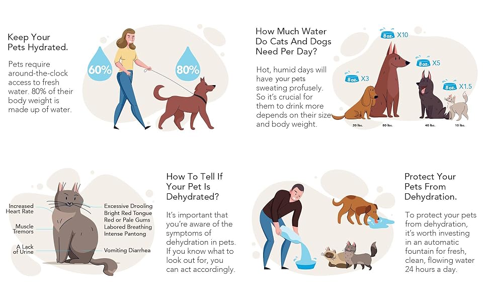 cat water fountain