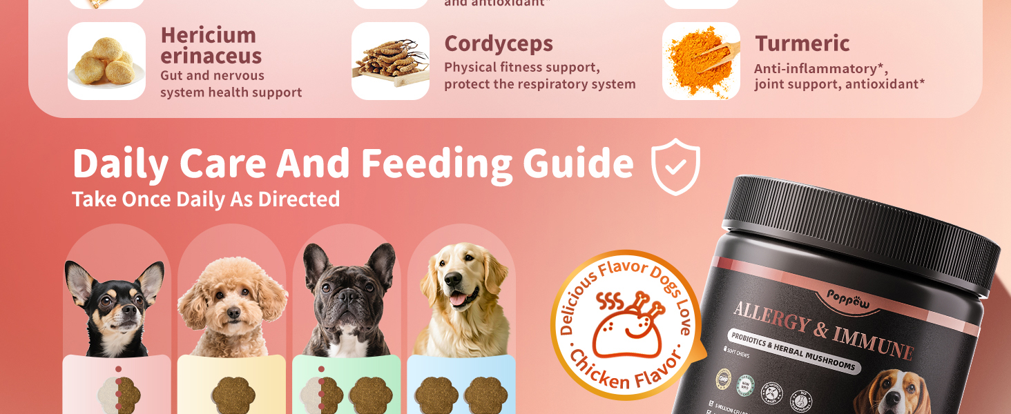 daily care and feeding guide