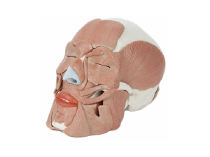 Small manufacture image 7