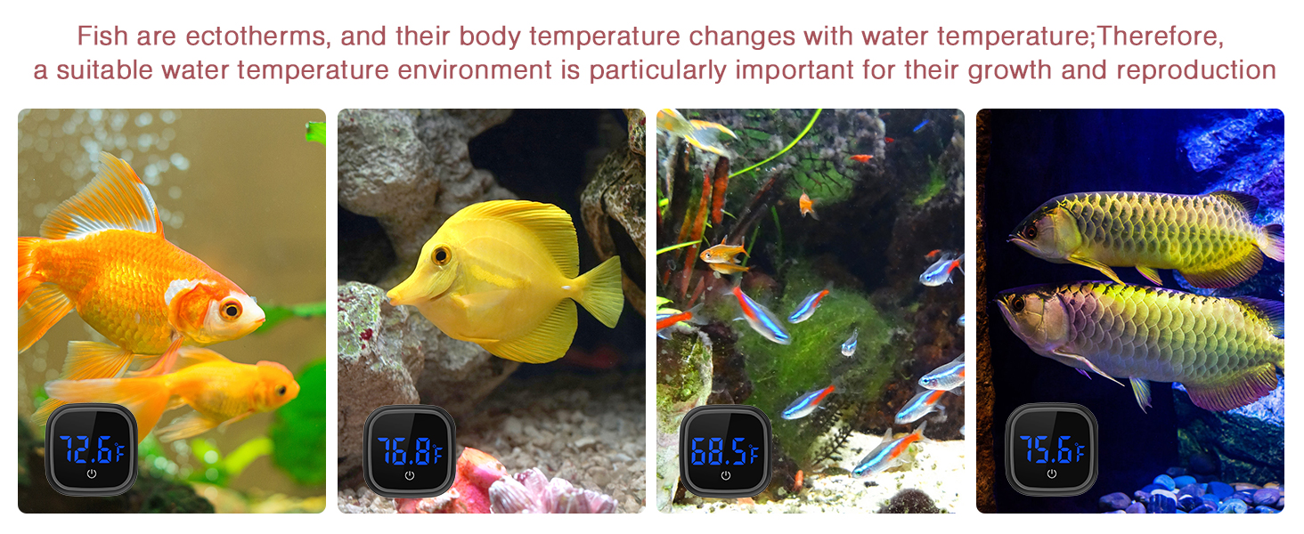 Digital Aquarium Thermometer, Stick-on Fish Tank Thermometer
