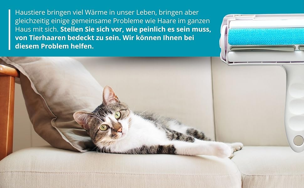 Katze auf dem Sofa, Liste zum Reinigen ihrer Haare, Tierhaarentfernung
