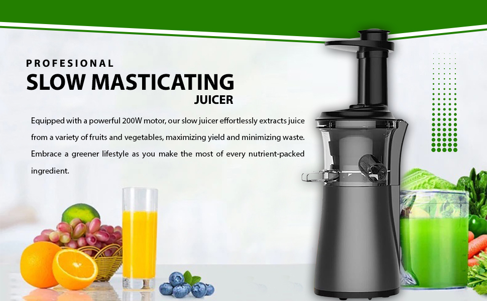 Professional Juicer Machine with Quiet Motor Slow Masticating Juicers