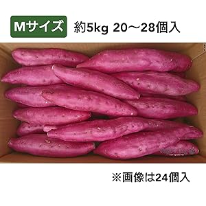 熟成　鳴門金時　秀品　優品　5kg ずつ【さつまいも】 鳴門金時 徳島県産 なると金時 金時芋 さつまいも 5kg L-2L