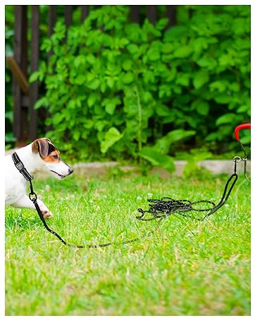 Joytale Long Training Lead for Dogs, 15/10/5M Strong Reflective Training Leads with Soft Handle, Nylon Rope Long Line Leash for Small and Puppy Dogs with 2 Hook Tie out, 5M, Black 14 7686752a 1897 4f0a a8ea 8482b504098f. CR0,0,724,906 PT0 SX362 V1