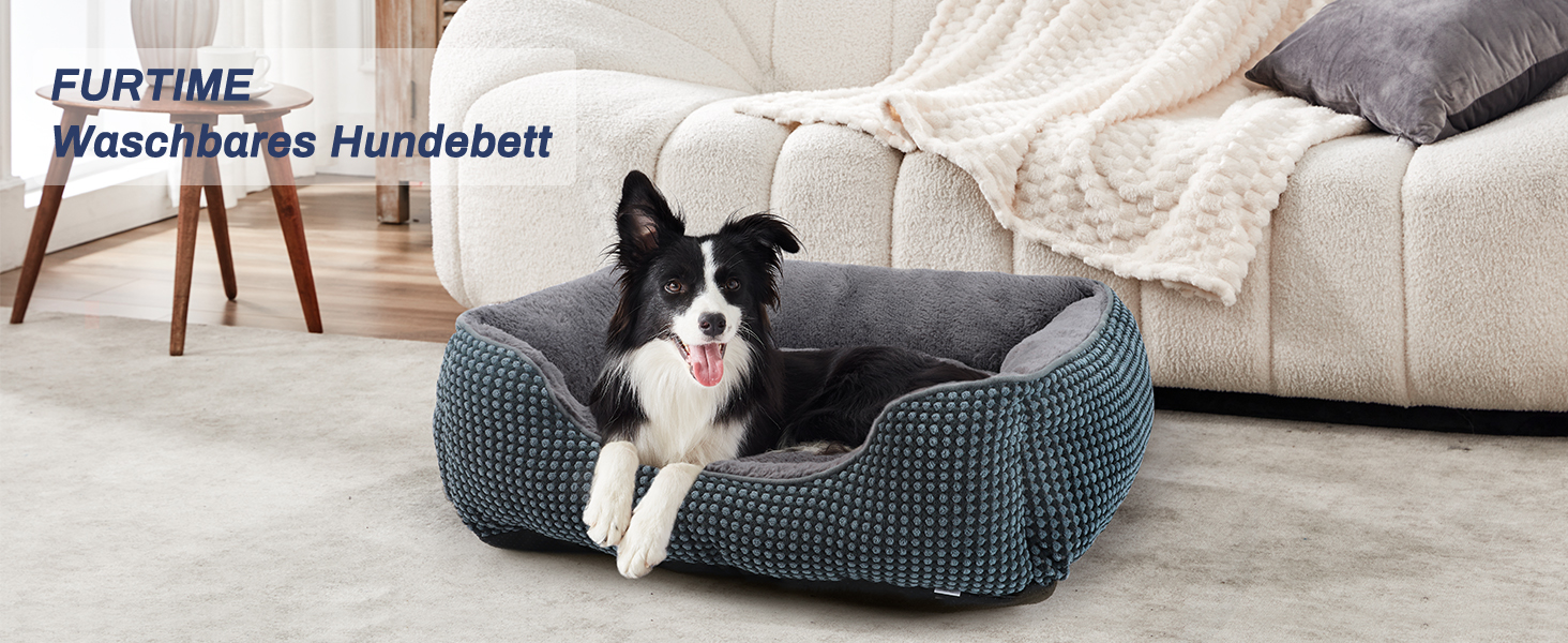 Ein grau-blaues, waschbares Hundebett, in dem ein Border Collie ruht. Das Bett befindet sich in einem Wohnzimmer neben einer weißen Couch