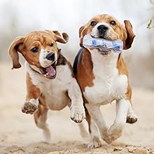 歯磨きボール3 迷彩ブルー