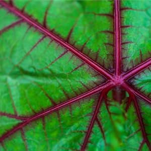 Small manufacture image 5