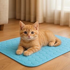 Cat on mat