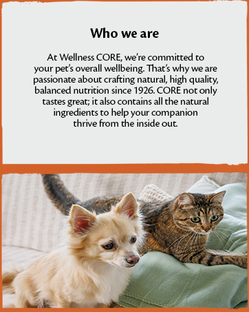 Wellbeing starts from the CORE with Wellness CORE