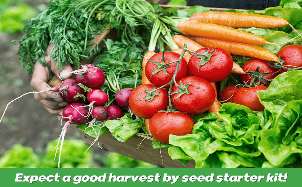 seed starter tray with grow lights