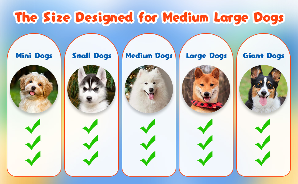 Interactive Dog Ball