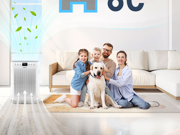 air purifiers