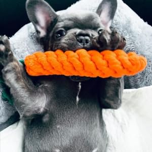 teething
