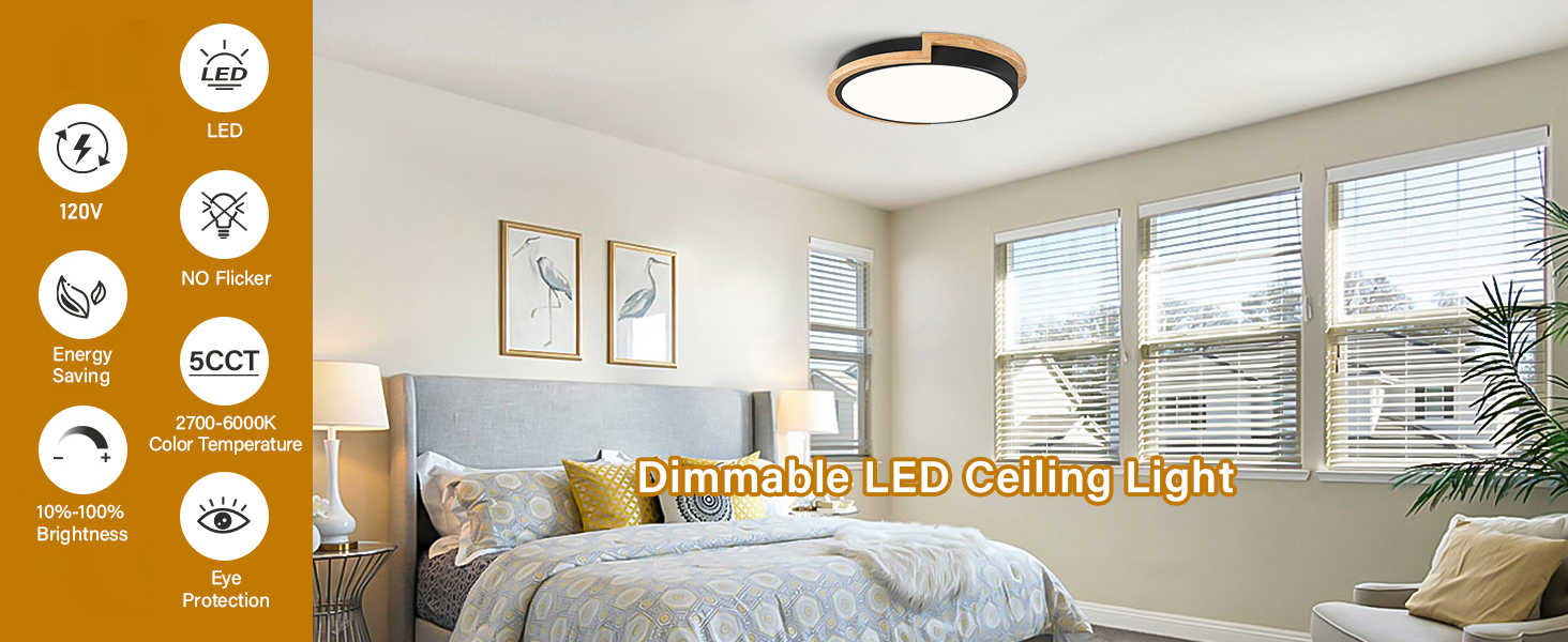 flush mount ceiling light fixture