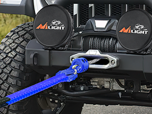 3/8 inch Grade 70 Winch Hook Blue