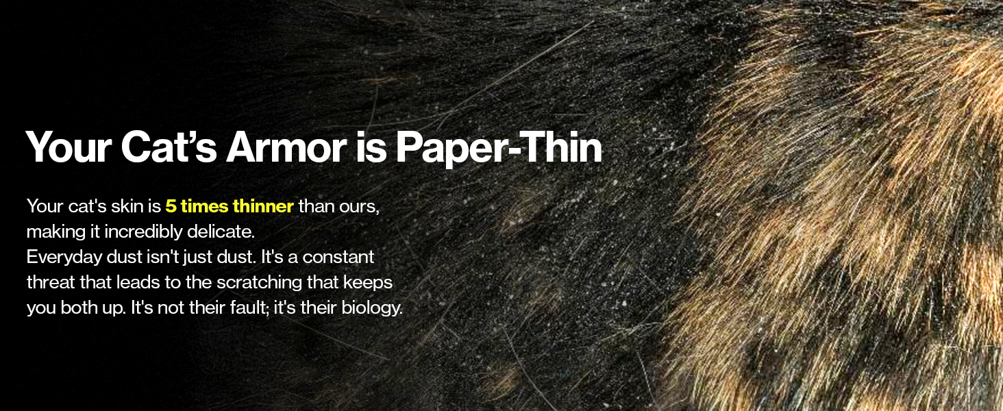 cat dandruff treatment cat itchy skin relief dry skin relief for cats cat skin and coat supplement