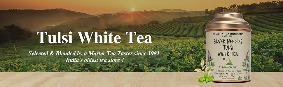tulsi tea, tulsi white tea bags, indian tulsi tea, holy basil tea, silver needle tea, silver tips