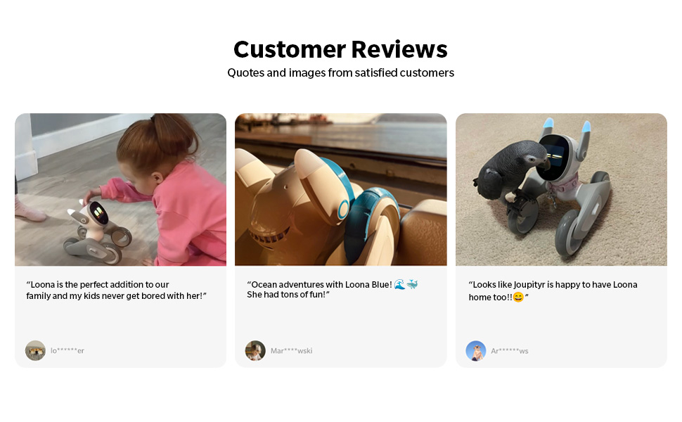 Opiniones de clientes