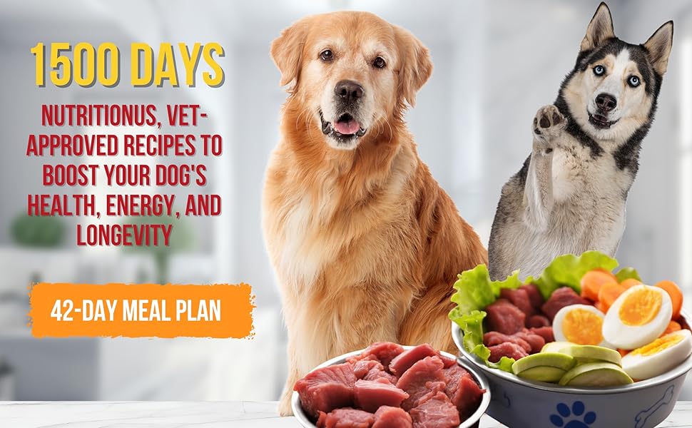 Healthy dog food