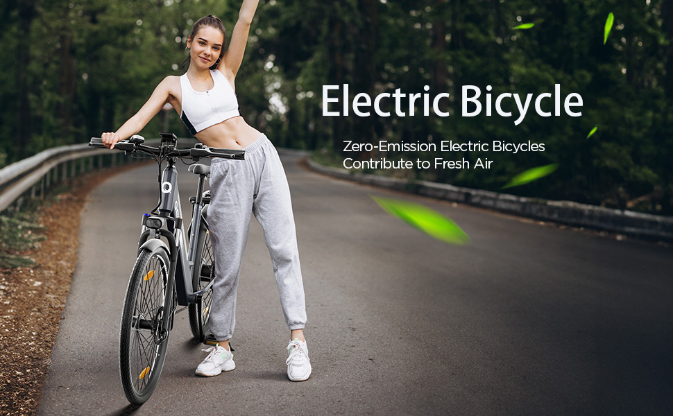 electric bicycles
