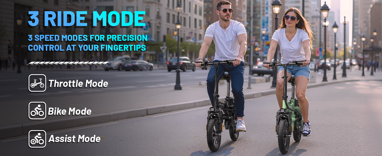 folding e bike