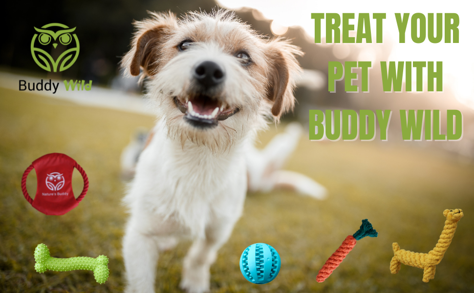 rope toys treat your pet
