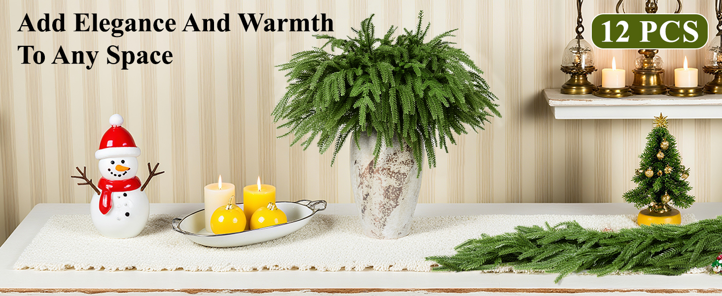 Norfolk Pine Branches